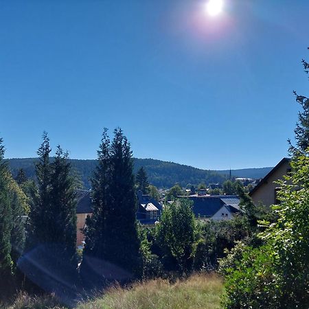 Villa Helvetia バート・エルスター エクステリア 写真