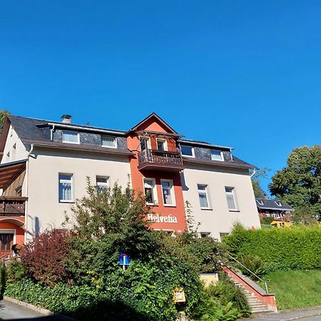 Villa Helvetia バート・エルスター エクステリア 写真