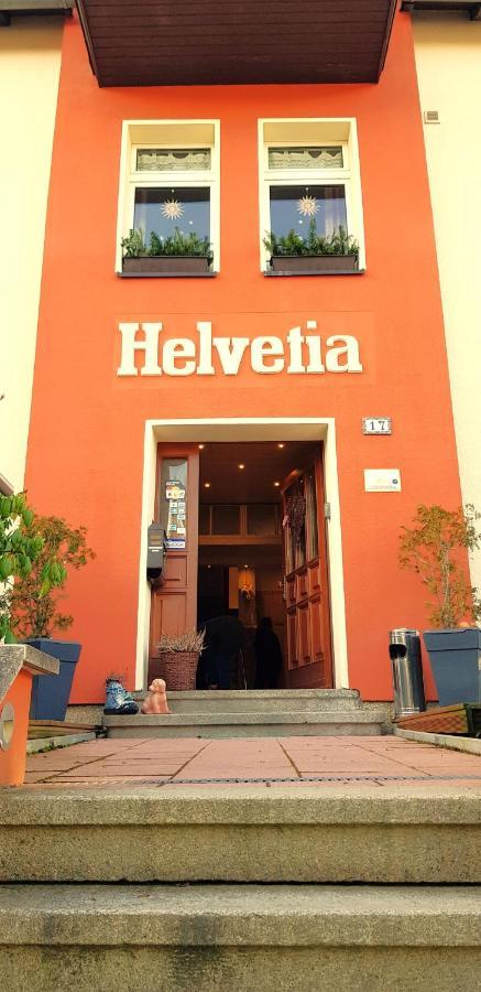 Villa Helvetia バート・エルスター エクステリア 写真