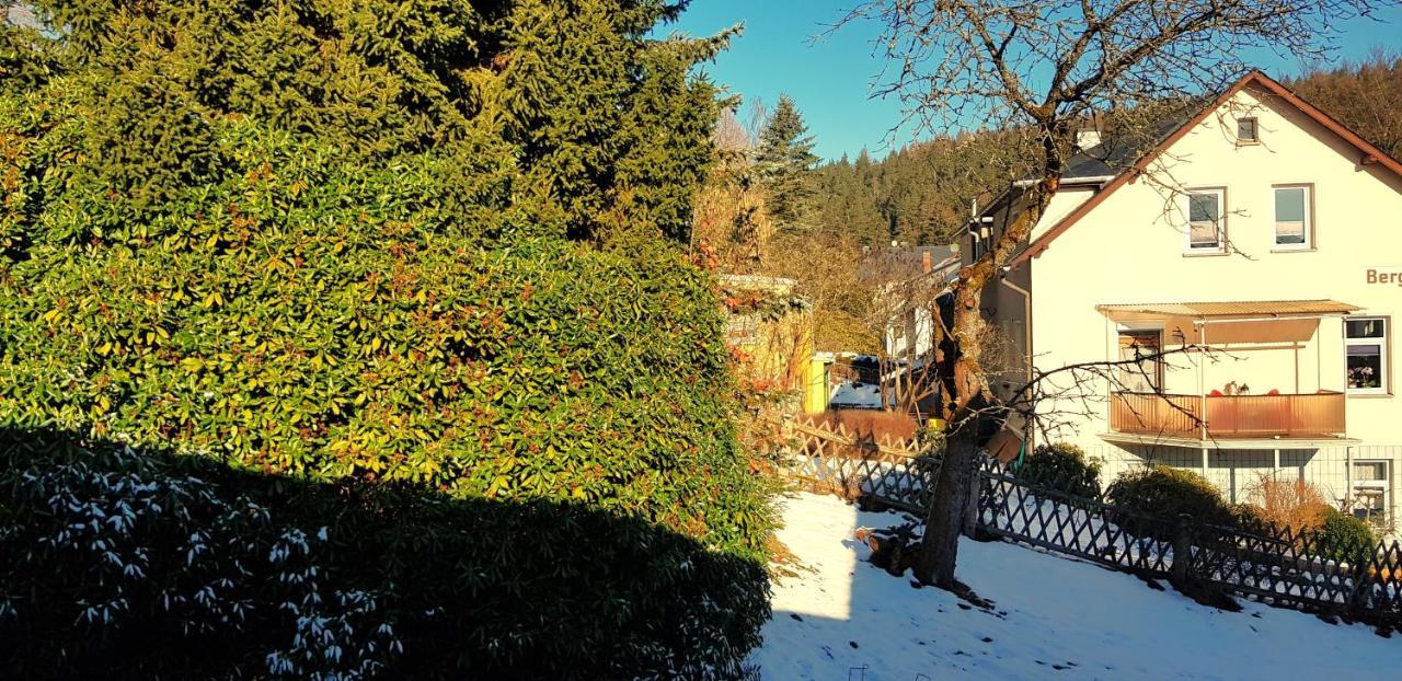 Villa Helvetia バート・エルスター エクステリア 写真