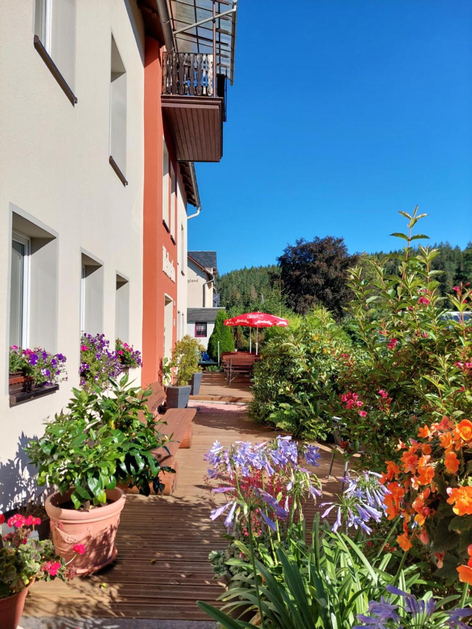 Villa Helvetia バート・エルスター エクステリア 写真