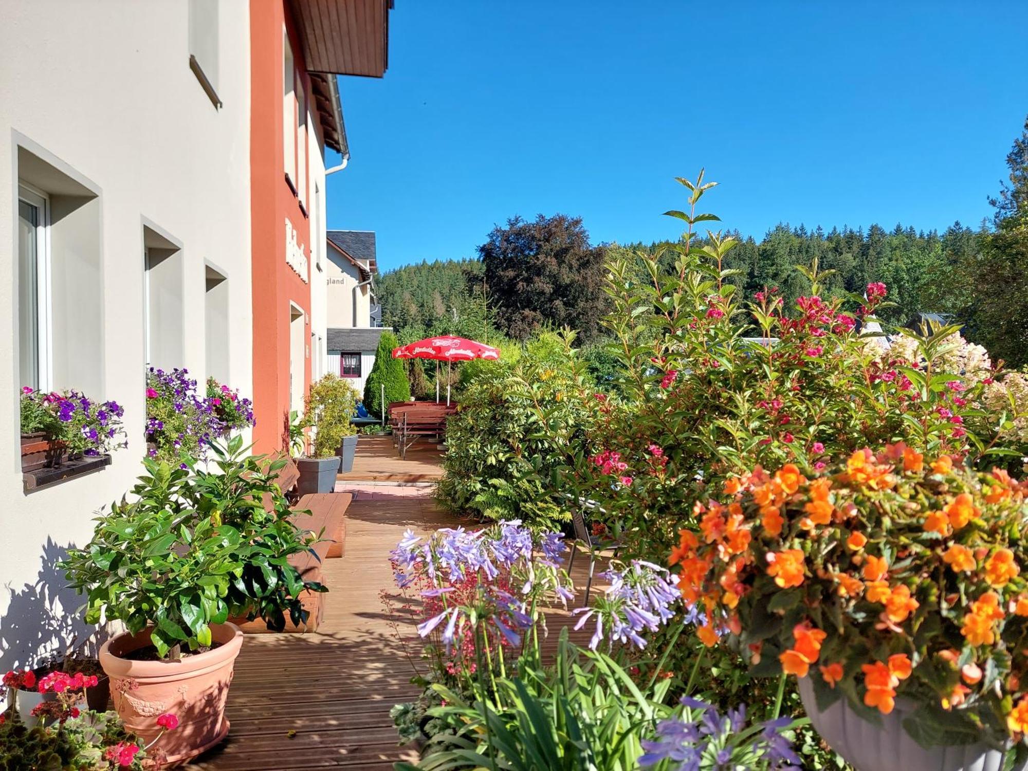 Villa Helvetia バート・エルスター エクステリア 写真